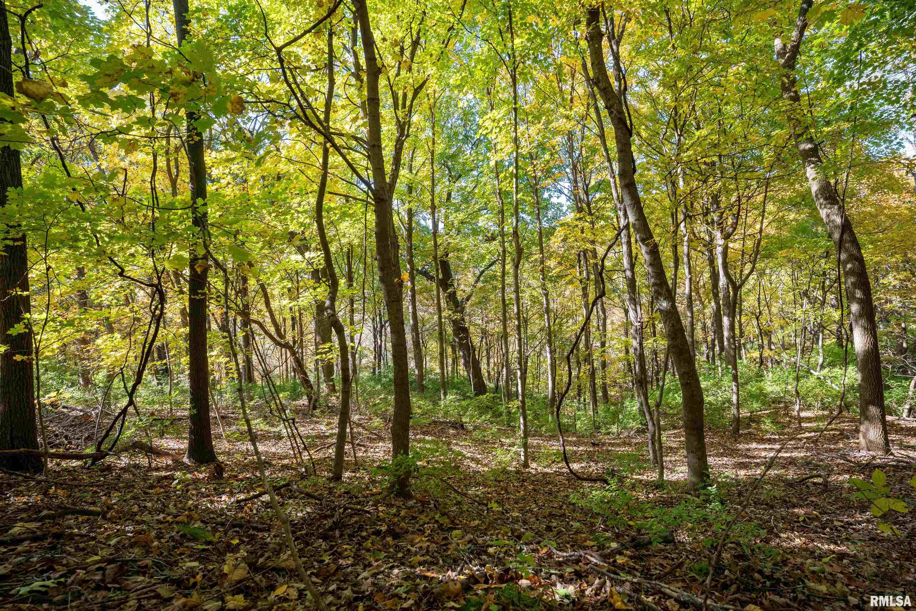 0 Eldred Road Fieldon, IL 62031 - Photo 25 of 76