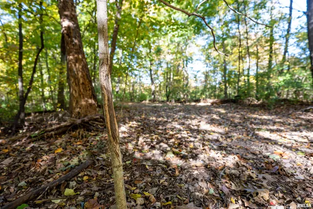 $1,347,500 | 0 Eldred Road, Fieldon, IL 62031