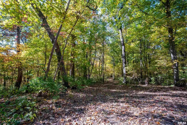 $1,347,500 | 0 Eldred Road, Fieldon, IL 62031