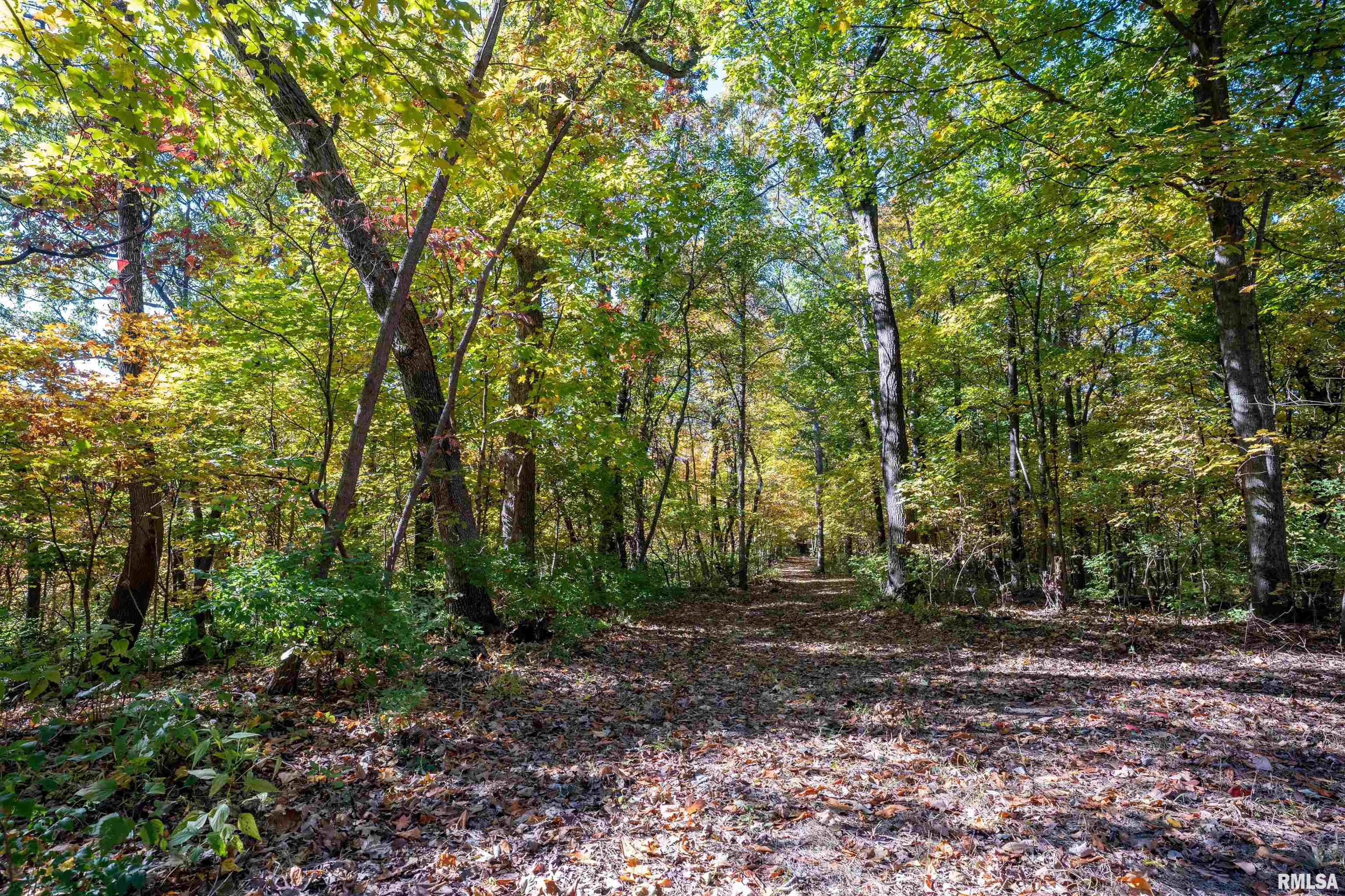 0 Eldred Road Fieldon, IL 62031 - Photo 27 of 76