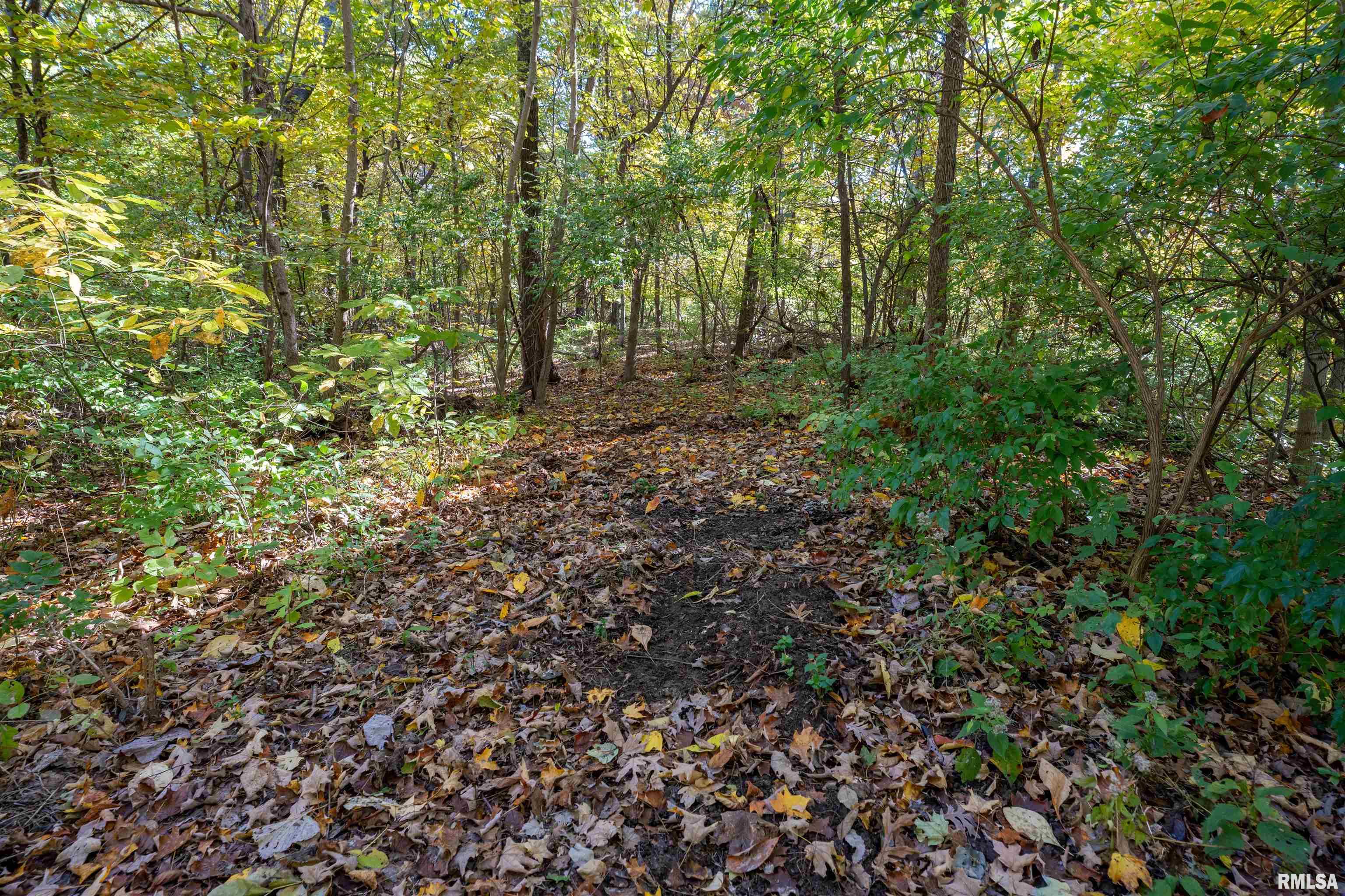 0 Eldred Road Fieldon, IL 62031 - Photo 28 of 76