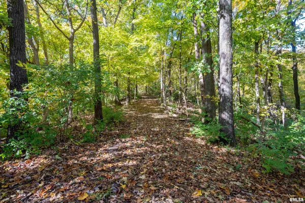 $1,274,000 | 0 Eldred Road, Fieldon, IL 62031
