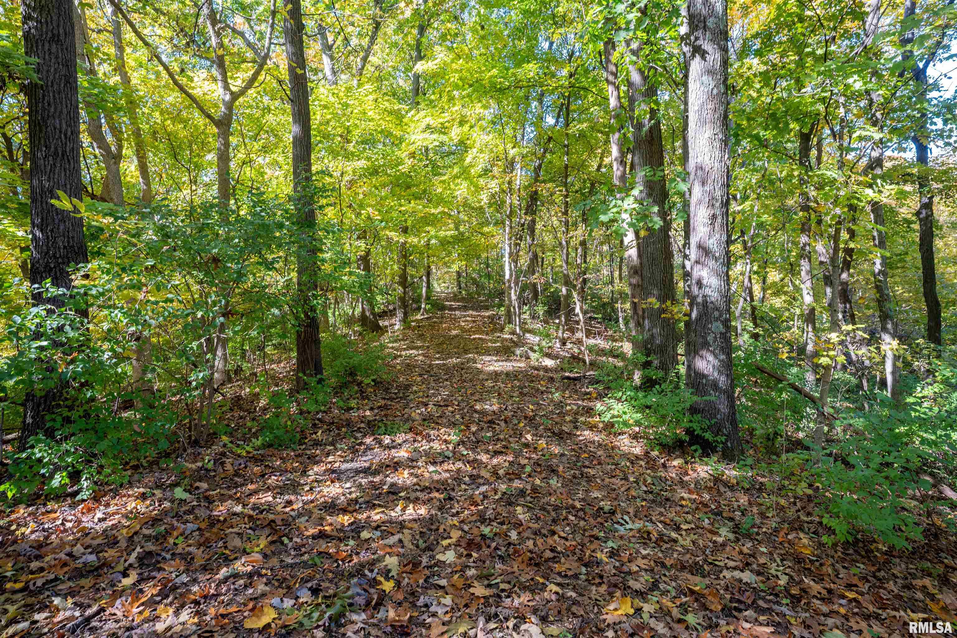 0 Eldred Road Fieldon, IL 62031 - Photo 29 of 76
