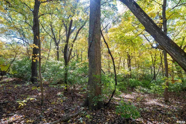 $1,347,500 | 0 Eldred Road, Fieldon, IL 62031