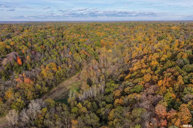 $1,347,500 | 0 Eldred Road, Fieldon, IL 62031