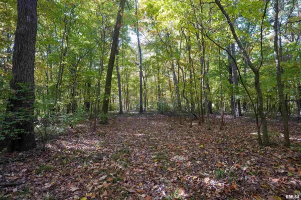 $1,274,000 | 0 Eldred Road, Fieldon, IL 62031