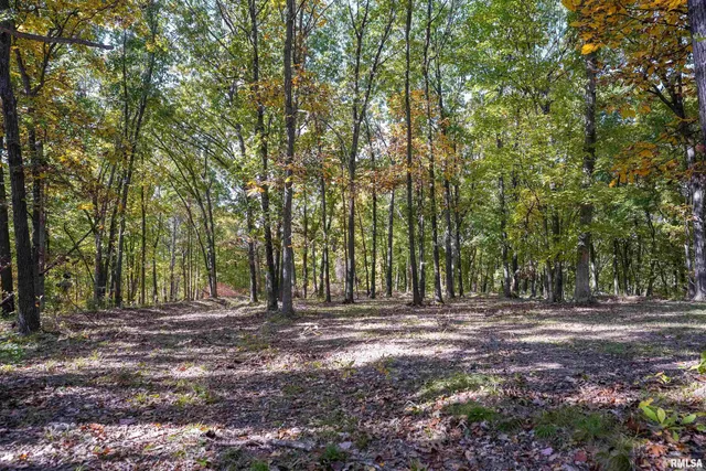 $1,347,500 | 0 Eldred Road, Fieldon, IL 62031