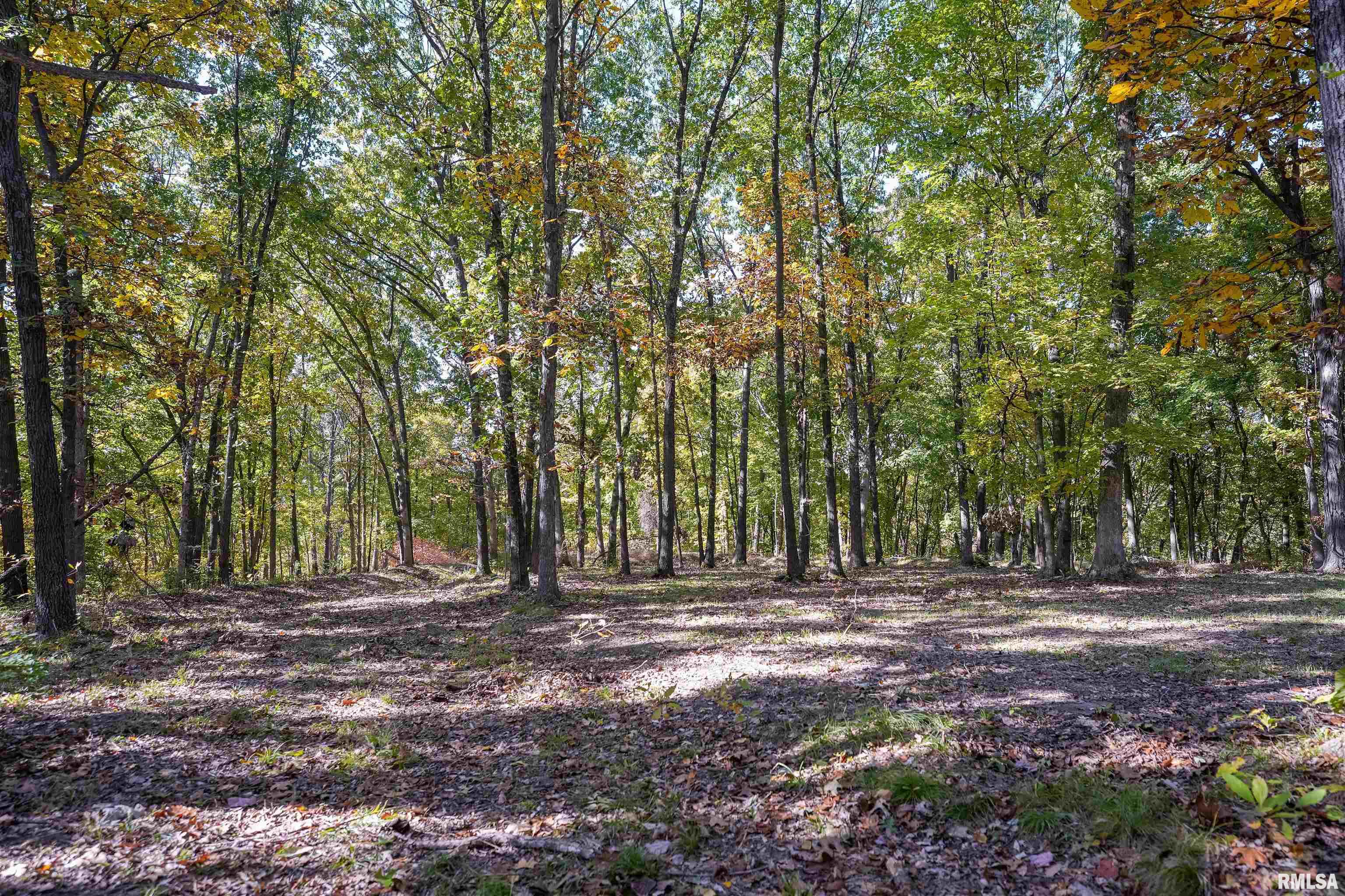 0 Eldred Road Fieldon, IL 62031 - Photo 32 of 76