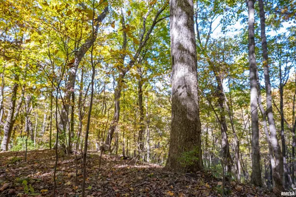 $1,274,000 | 0 Eldred Road, Fieldon, IL 62031