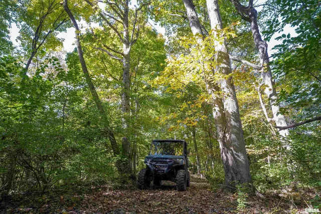 $1,347,500 | 0 Eldred Road, Fieldon, IL 62031