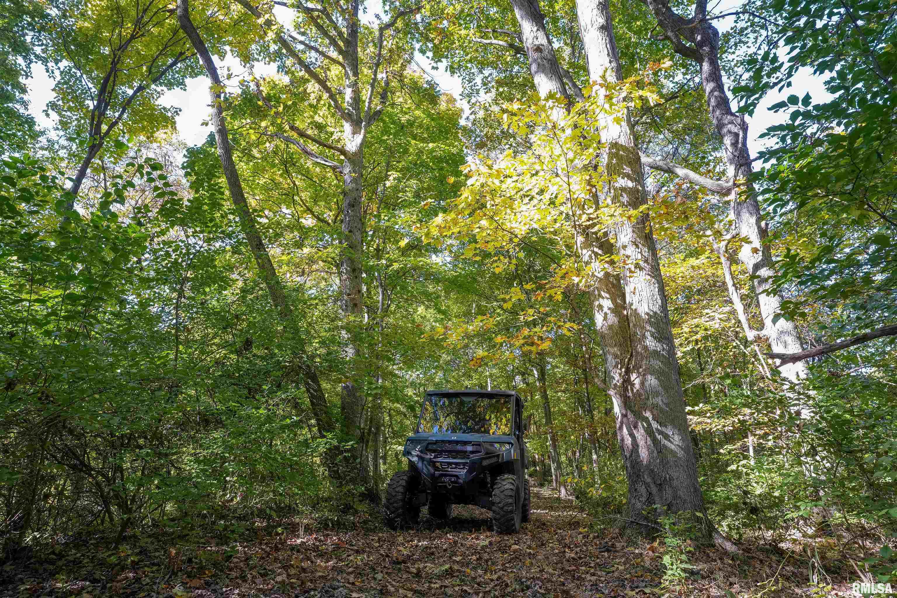 0 Eldred Road Fieldon, IL 62031 - Photo 34 of 76