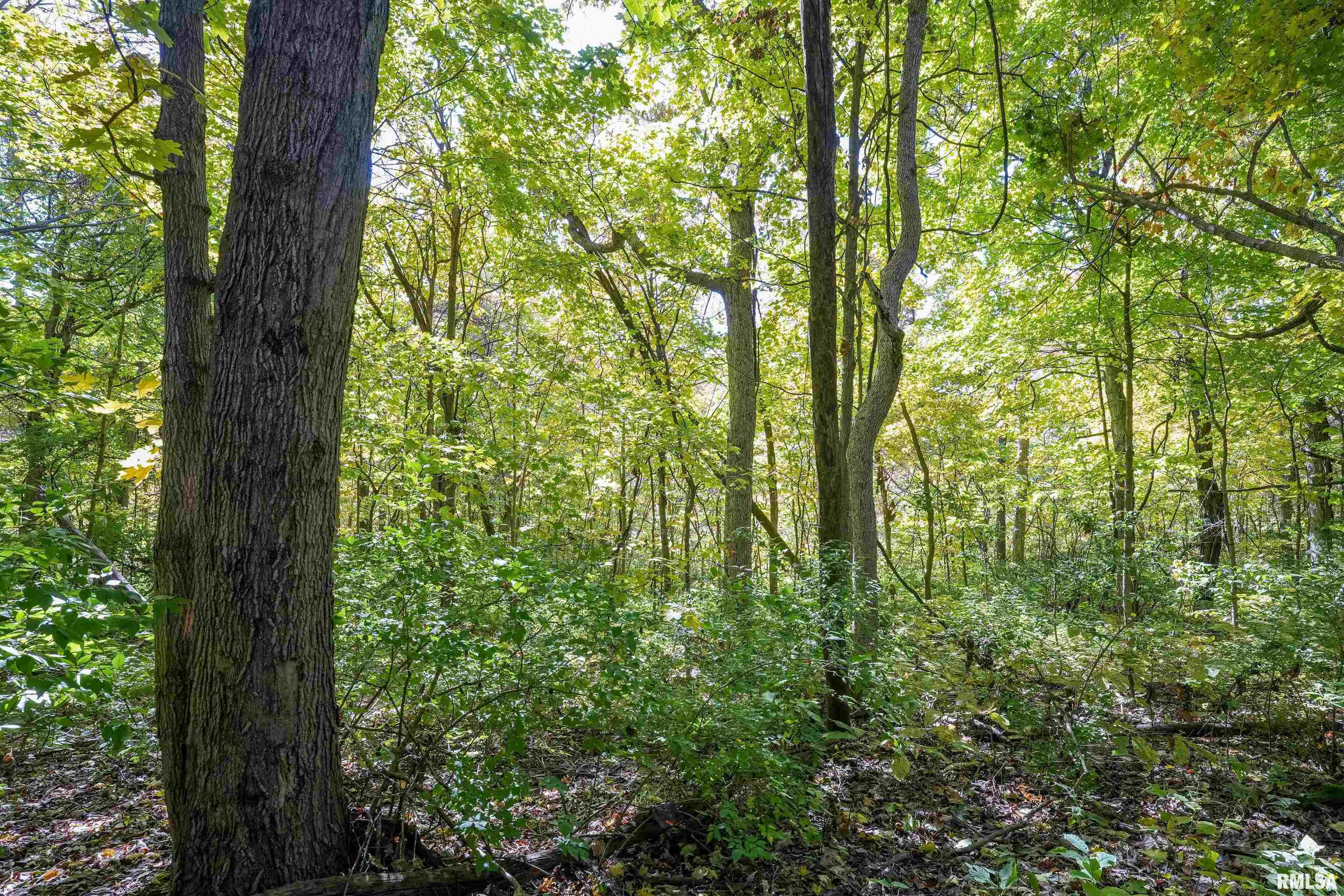 0 Eldred Road Fieldon, IL 62031 - Photo 35 of 76