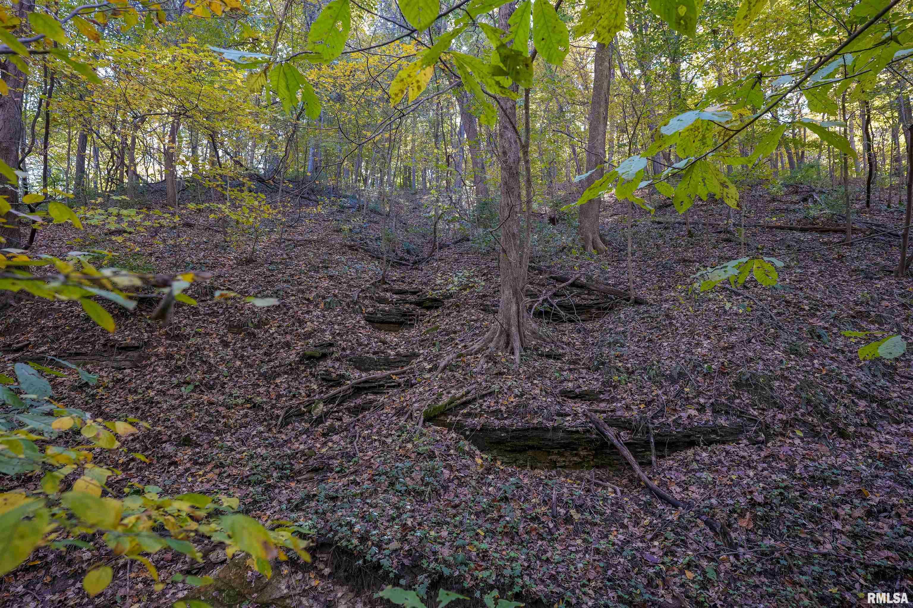 0 Eldred Road Fieldon, IL 62031 - Photo 36 of 76