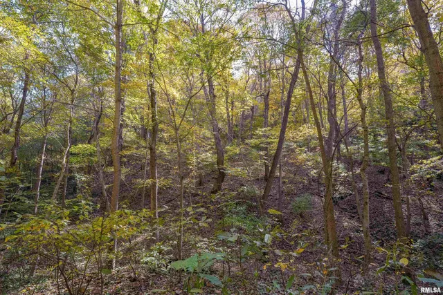 $1,347,500 | 0 Eldred Road, Fieldon, IL 62031