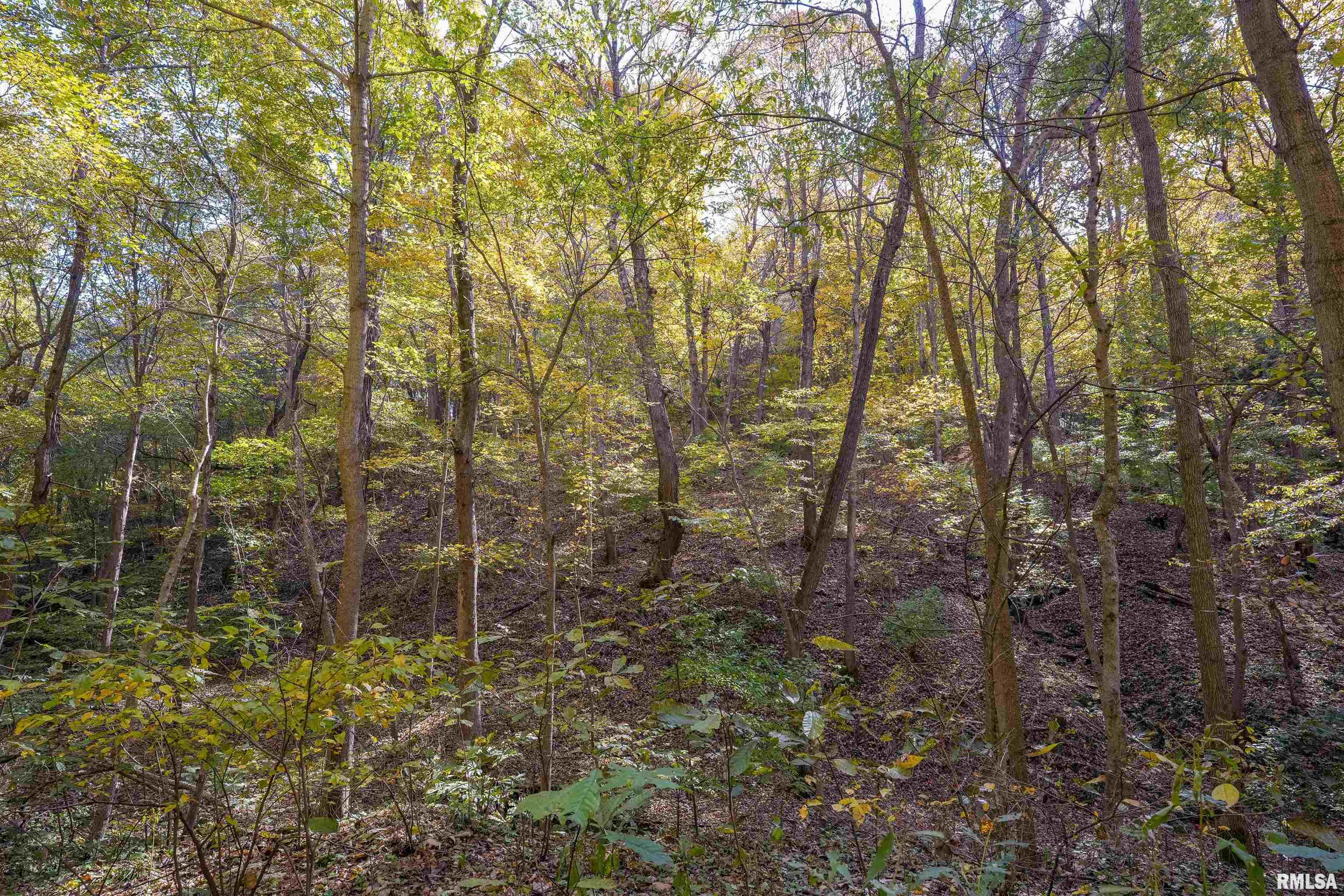 0 Eldred Road Fieldon, IL 62031 - Photo 37 of 76