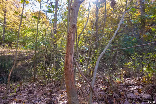 $1,347,500 | 0 Eldred Road, Fieldon, IL 62031