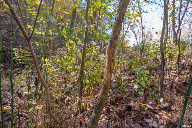 $1,347,500 | 0 Eldred Road, Fieldon, IL 62031