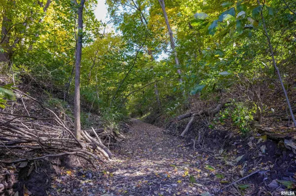 $1,274,000 | 0 Eldred Road, Fieldon, IL 62031