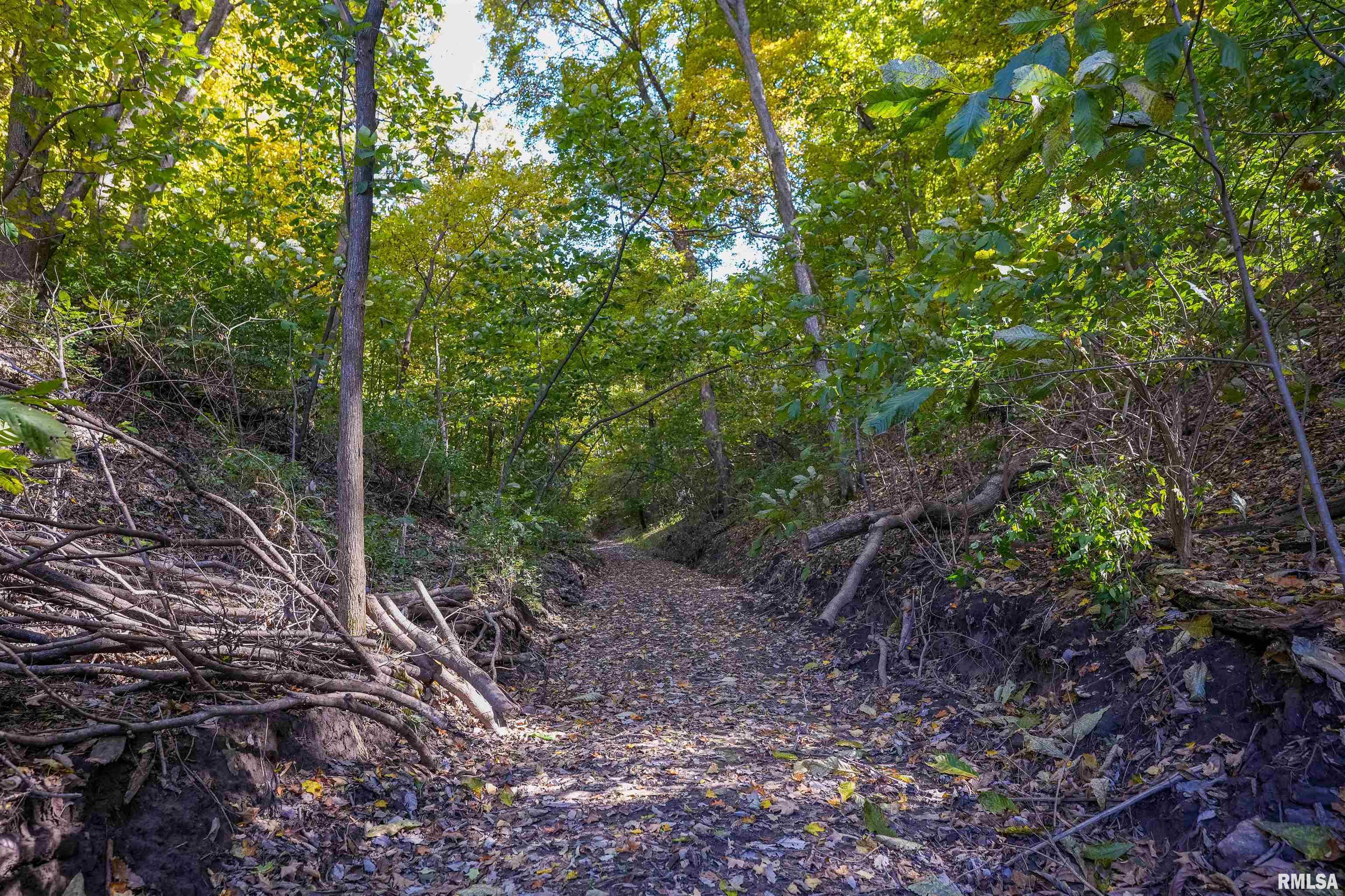 0 Eldred Road Fieldon, IL 62031 - Photo 40 of 76