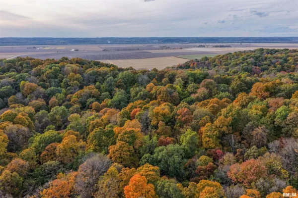 $1,274,000 | 0 Eldred Road, Fieldon, IL 62031