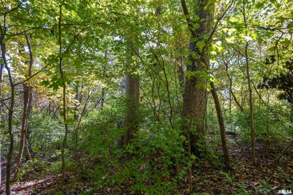 $1,274,000 | 0 Eldred Road, Fieldon, IL 62031