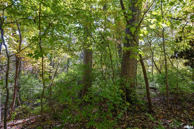 $1,347,500 | 0 Eldred Road, Fieldon, IL 62031