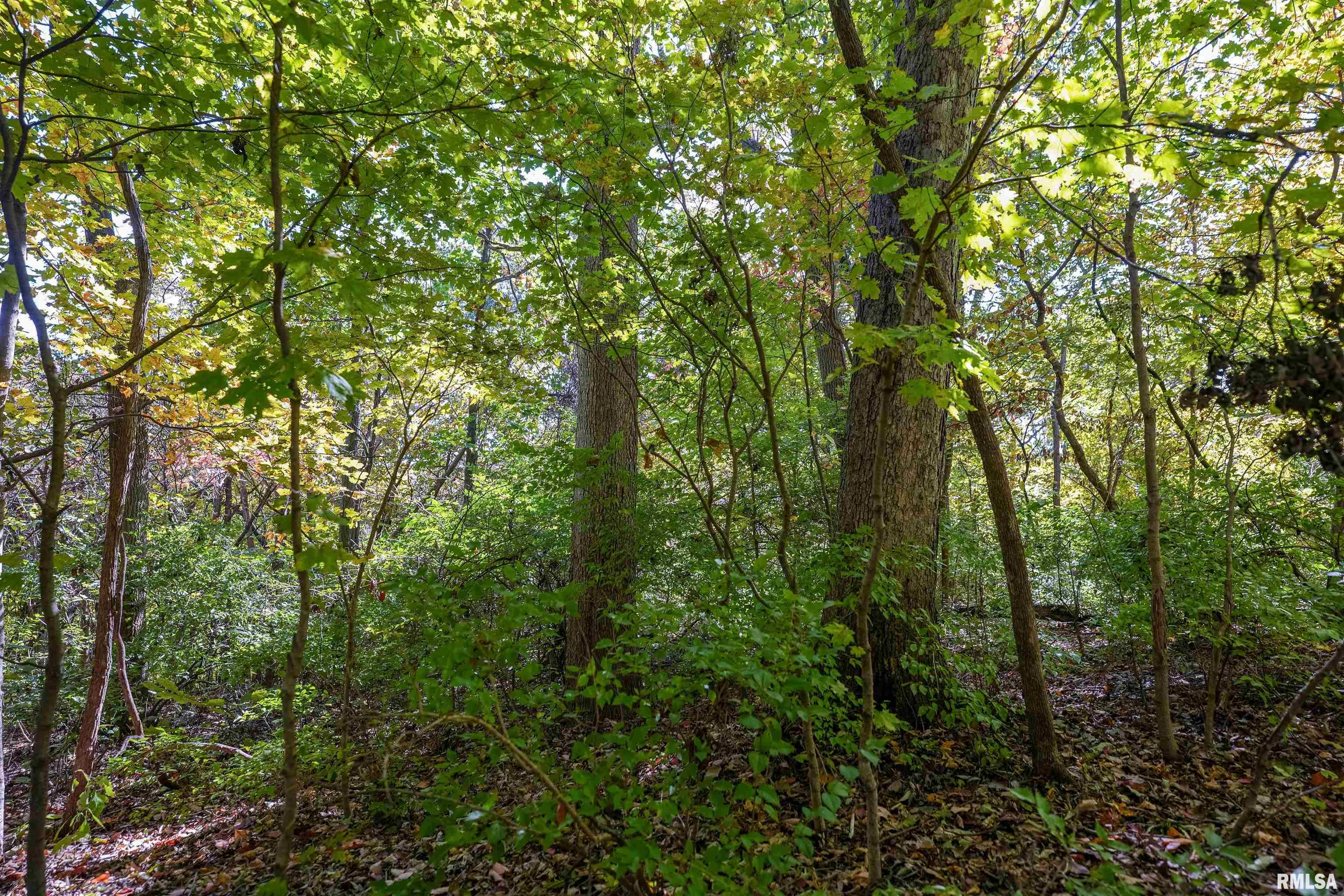 0 Eldred Road Fieldon, IL 62031 - Photo 41 of 76