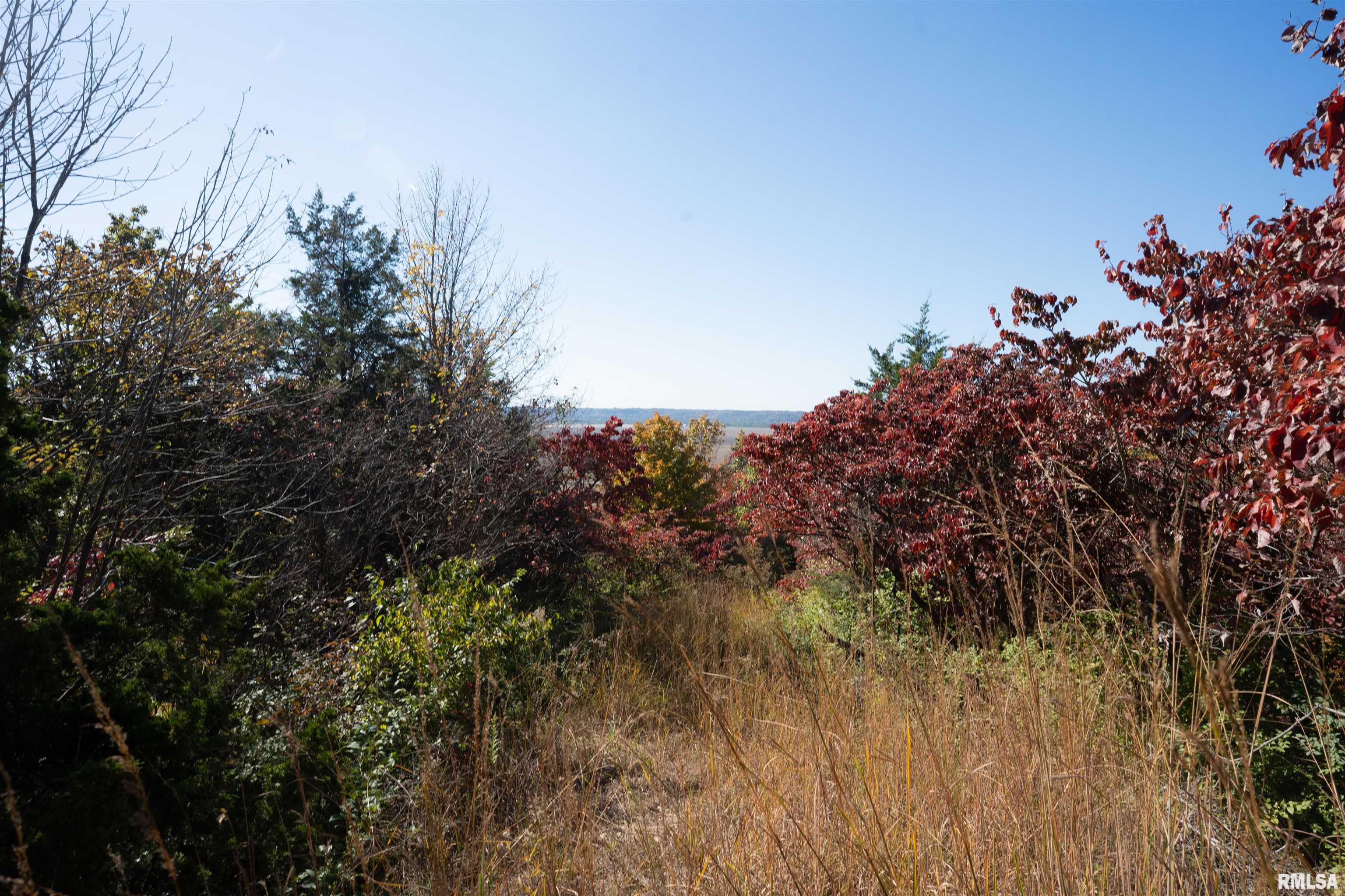 0 Eldred Road Fieldon, IL 62031 - Photo 43 of 76