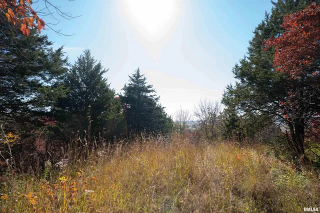 $1,347,500 | 0 Eldred Road, Fieldon, IL 62031