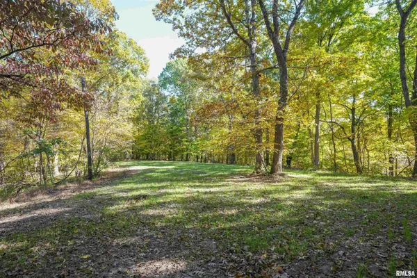 $1,274,000 | 0 Eldred Road, Fieldon, IL 62031