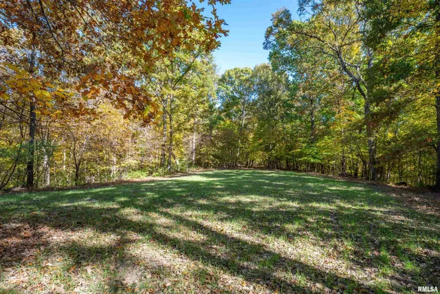 $1,347,500 | 0 Eldred Road, Fieldon, IL 62031