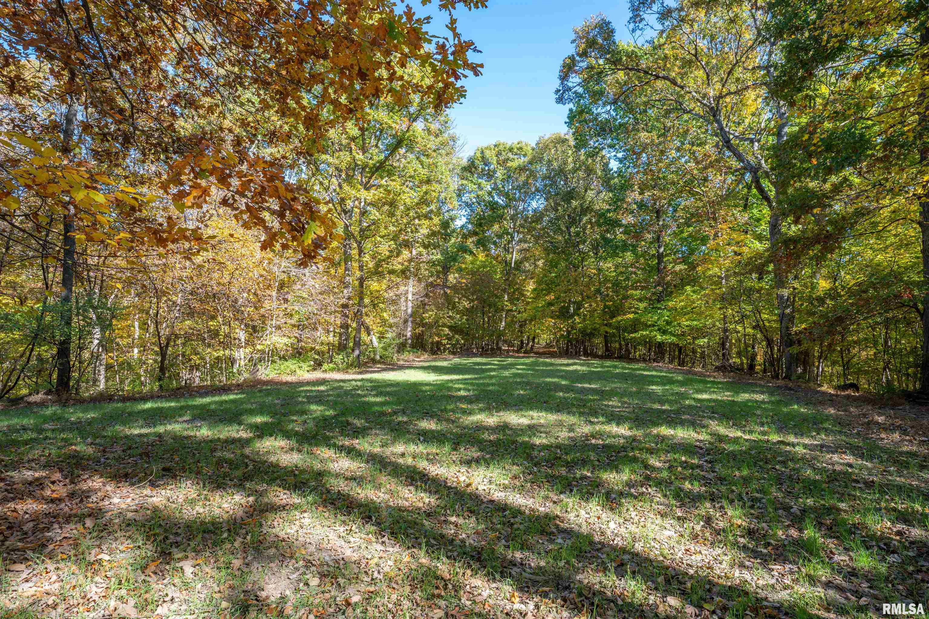 0 Eldred Road Fieldon, IL 62031 - Photo 46 of 76