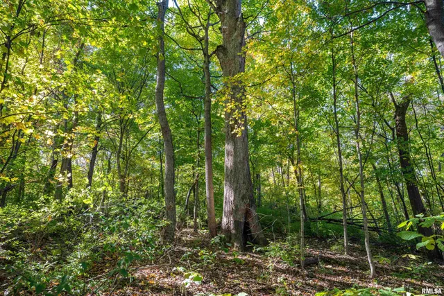 $1,347,500 | 0 Eldred Road, Fieldon, IL 62031