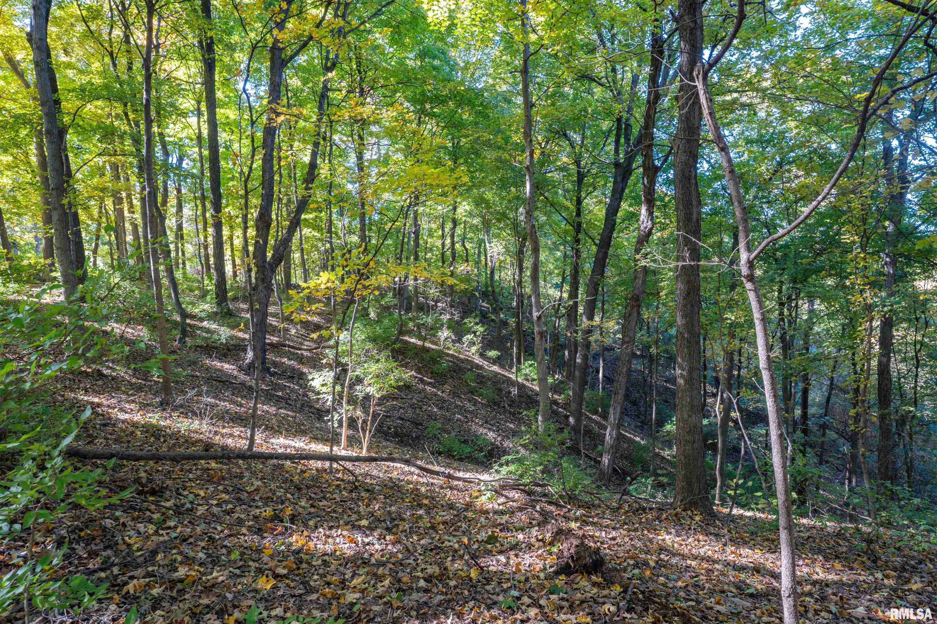 0 Eldred Road Fieldon, IL 62031 - Photo 48 of 76