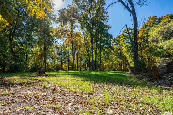 $1,274,000 | 0 Eldred Road, Fieldon, IL 62031