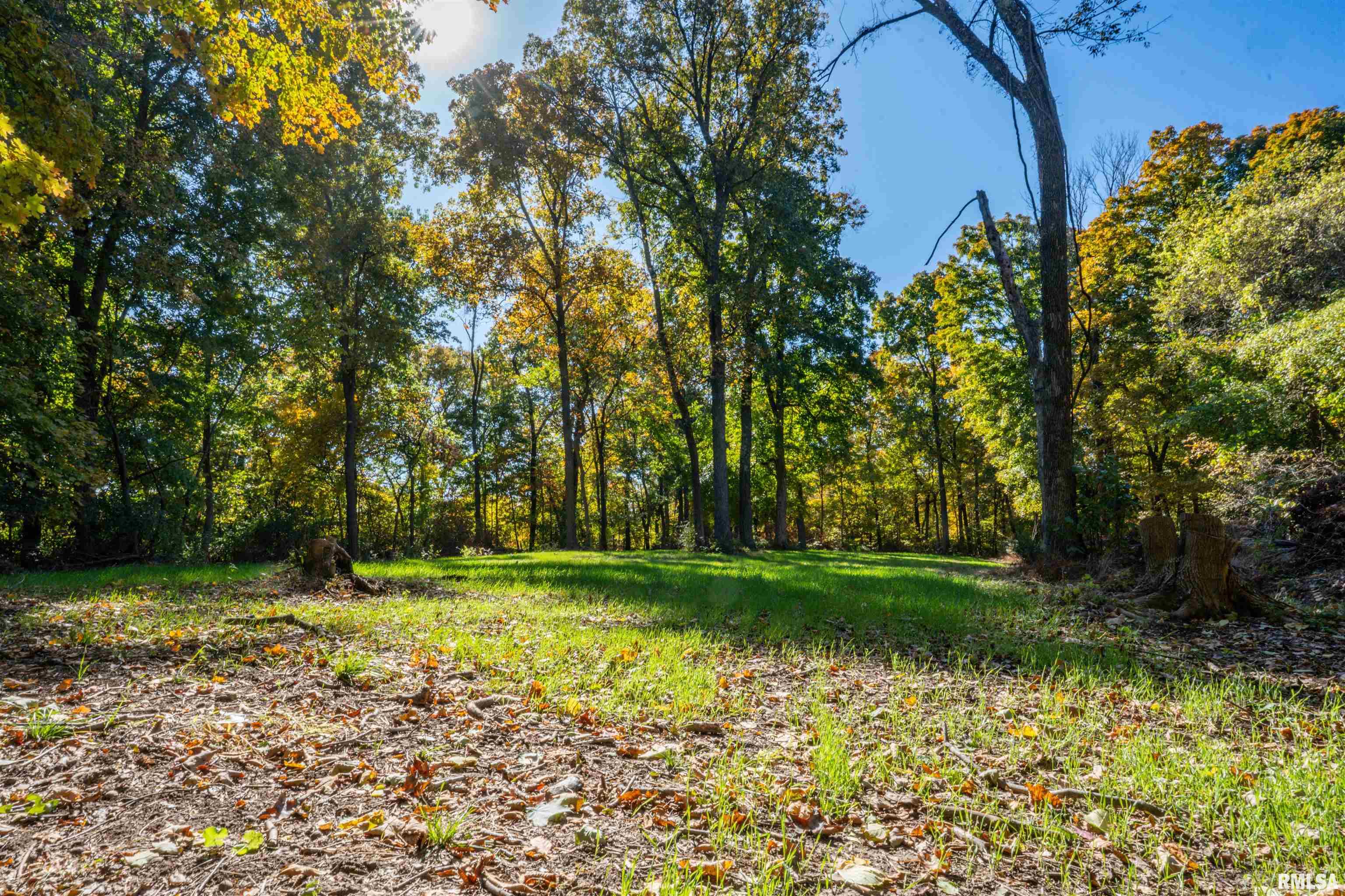 0 Eldred Road Fieldon, IL 62031 - Photo 49 of 76