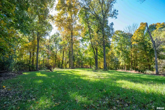 $1,347,500 | 0 Eldred Road, Fieldon, IL 62031