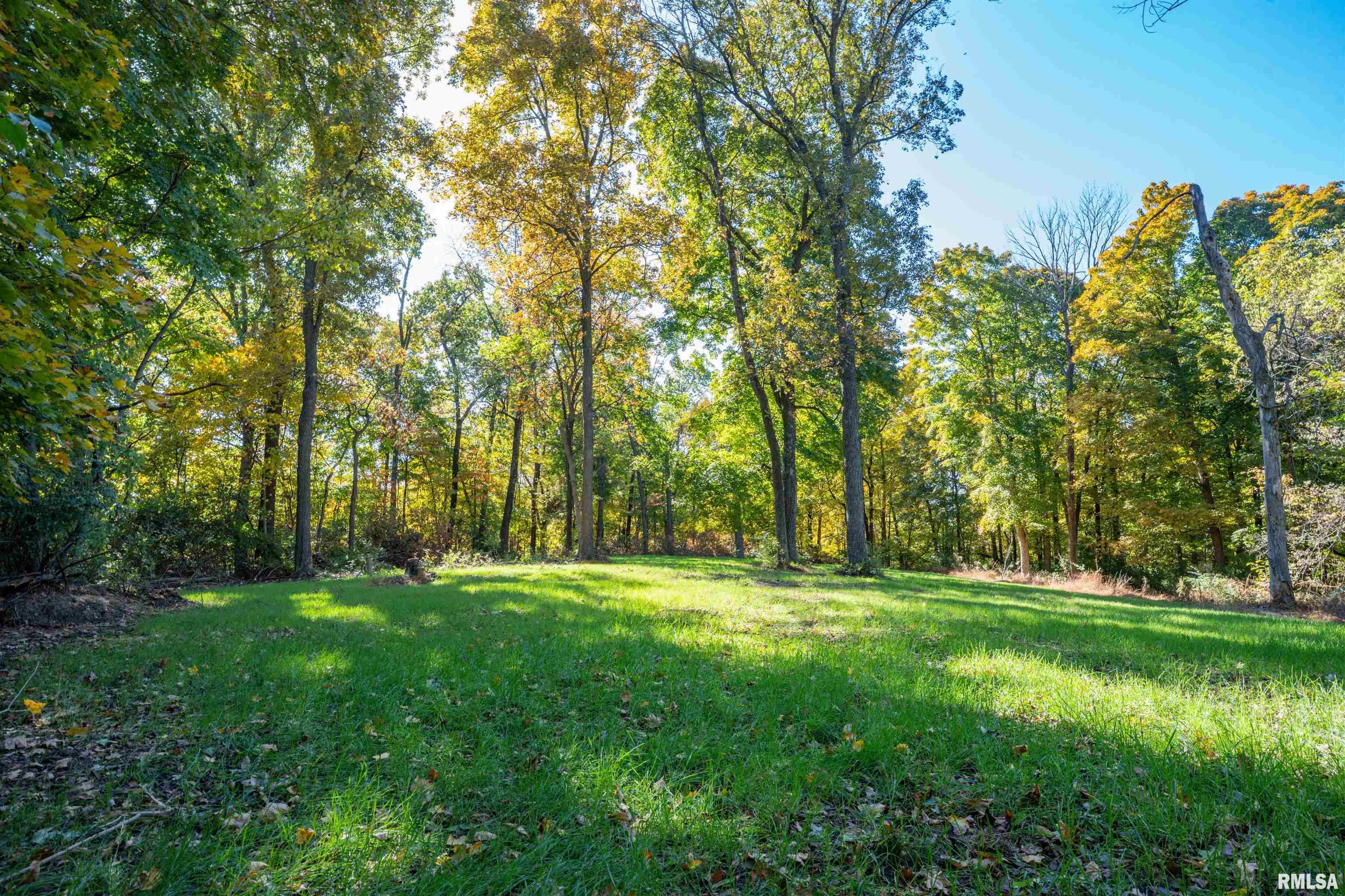 0 Eldred Road Fieldon, IL 62031 - Photo 50 of 76