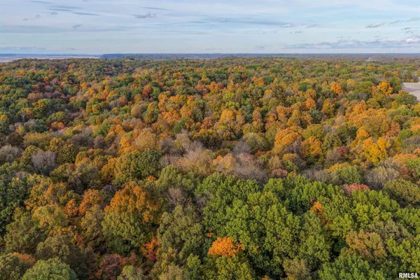 $1,274,000 | 0 Eldred Road, Fieldon, IL 62031