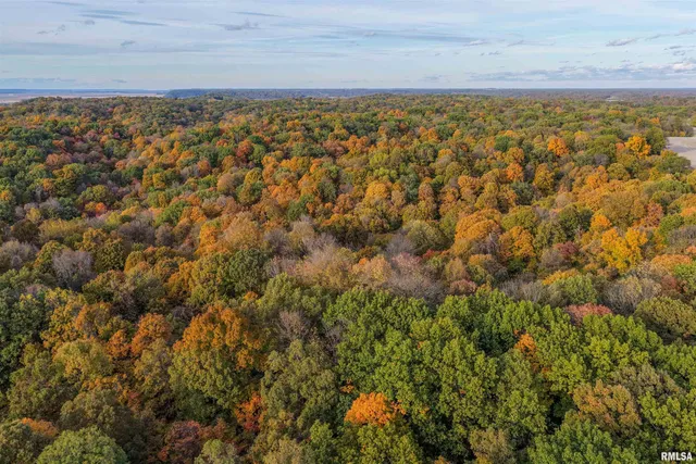 $1,347,500 | 0 Eldred Road, Fieldon, IL 62031