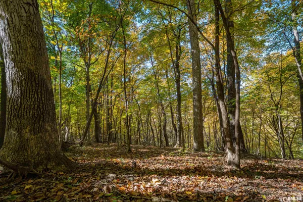 $1,274,000 | 0 Eldred Road, Fieldon, IL 62031