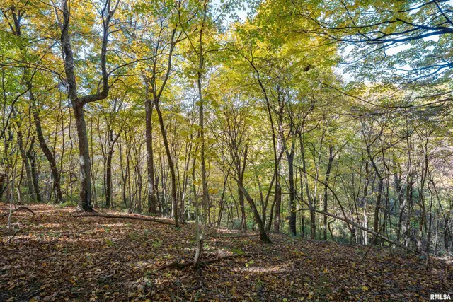 $1,347,500 | 0 Eldred Road, Fieldon, IL 62031