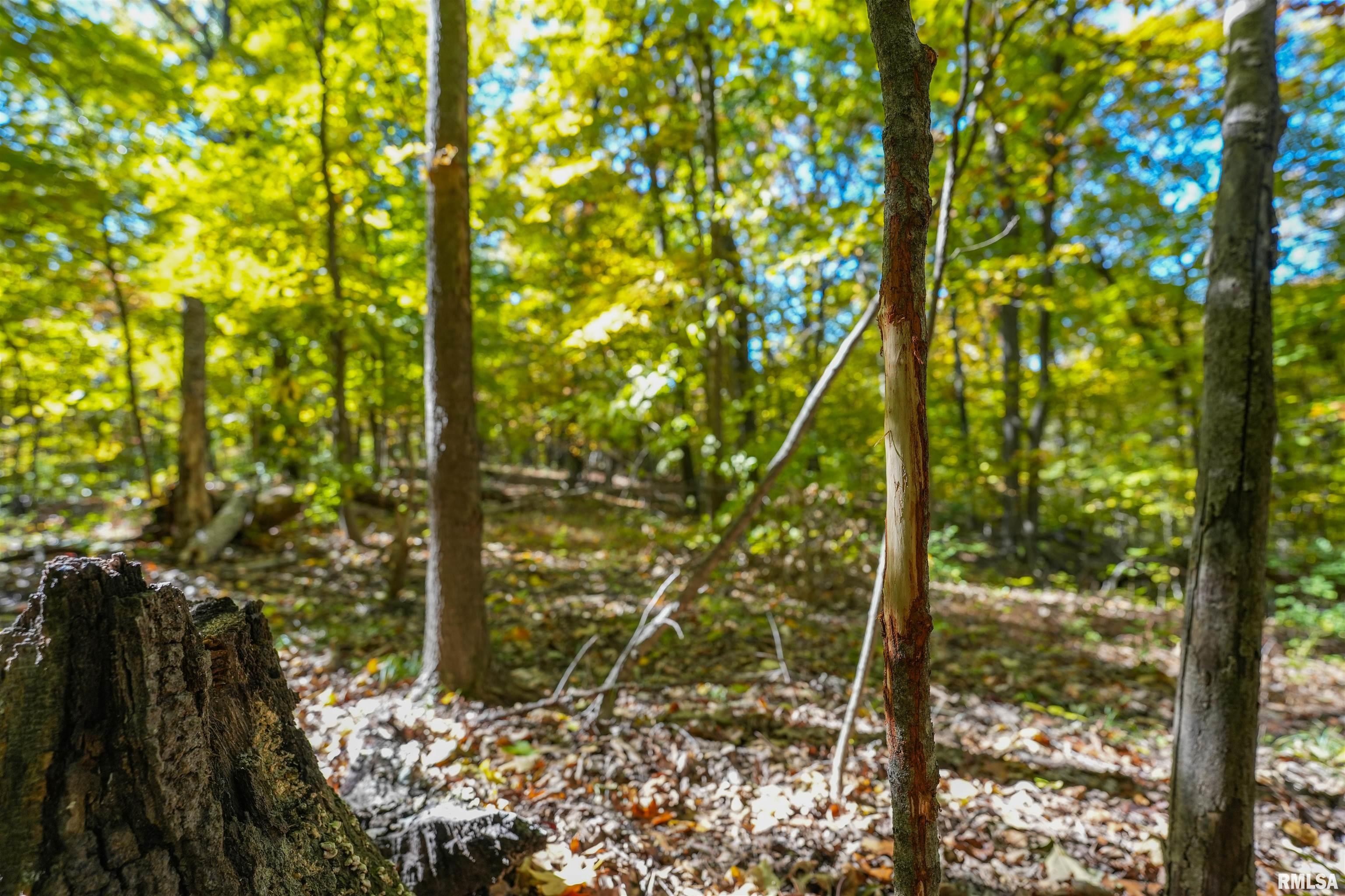 0 Eldred Road Fieldon, IL 62031 - Photo 53 of 76