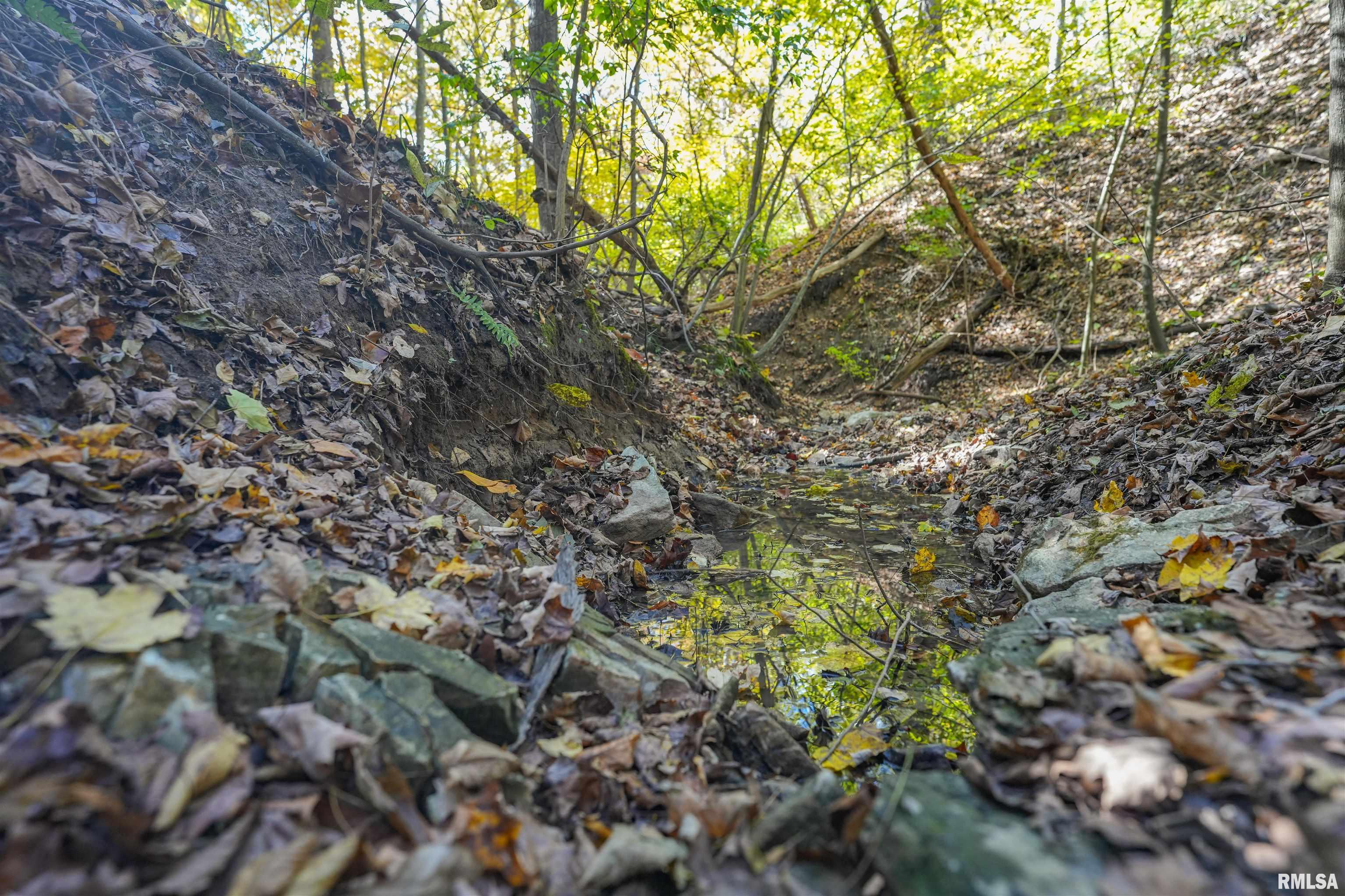 0 Eldred Road Fieldon, IL 62031 - Photo 54 of 76