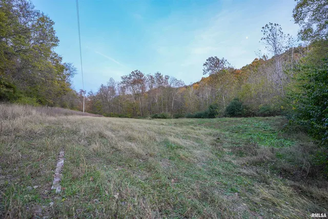 $1,347,500 | 0 Eldred Road, Fieldon, IL 62031