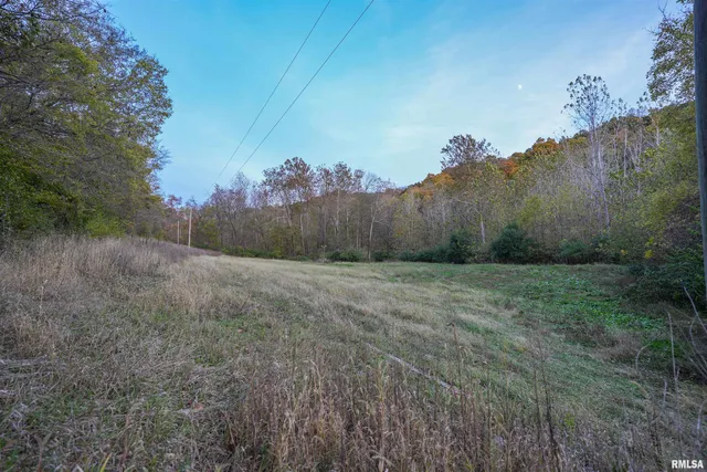 $1,347,500 | 0 Eldred Road, Fieldon, IL 62031