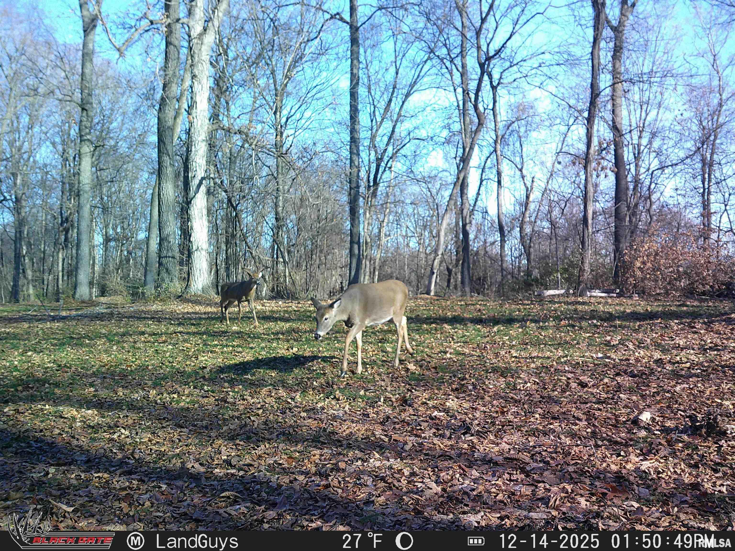 0 Eldred Road Fieldon, IL 62031 - Photo 57 of 76