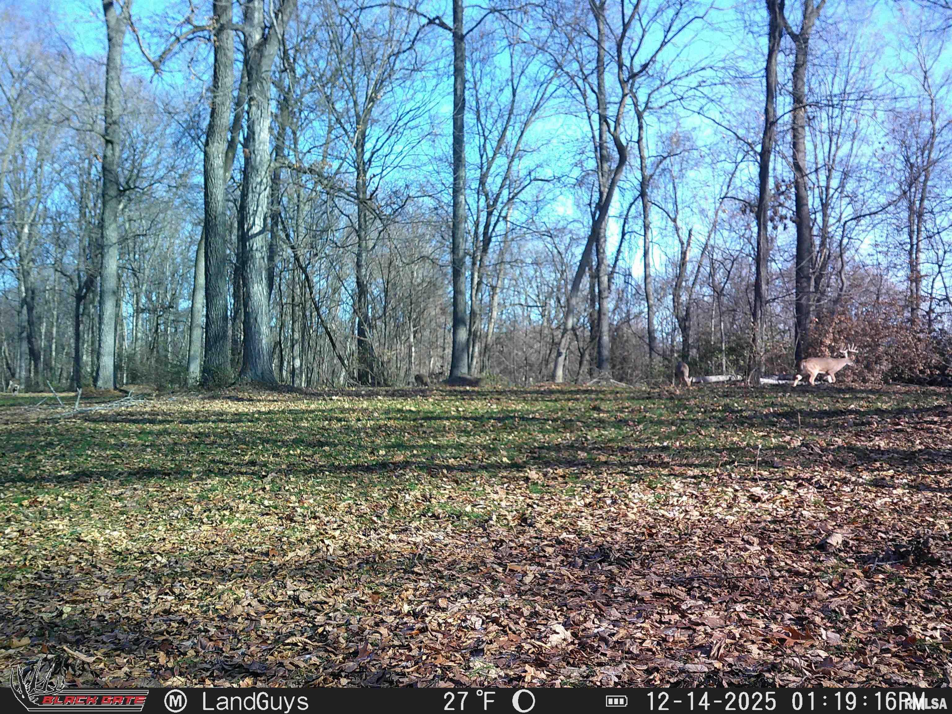 0 Eldred Road Fieldon, IL 62031 - Photo 59 of 76