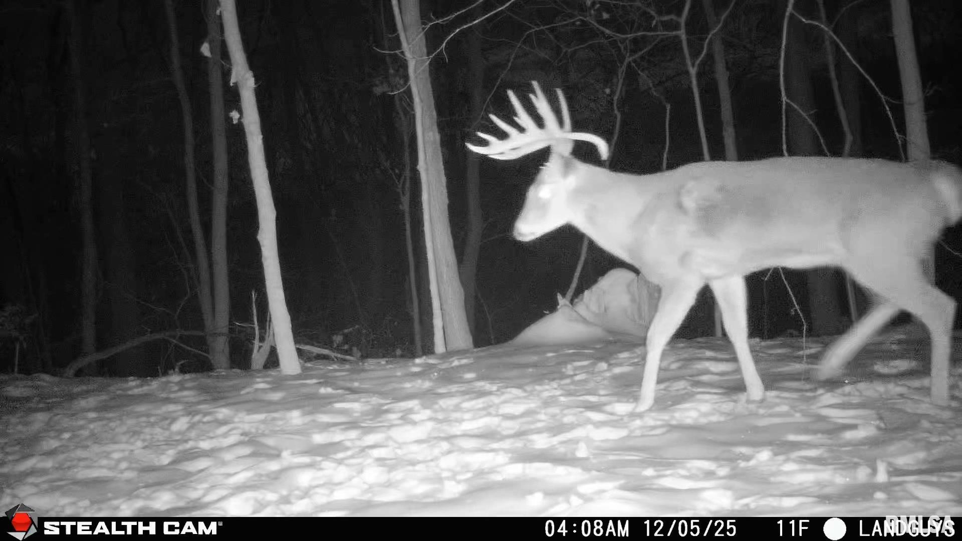 0 Eldred Road Fieldon, IL 62031 - Photo 60 of 76