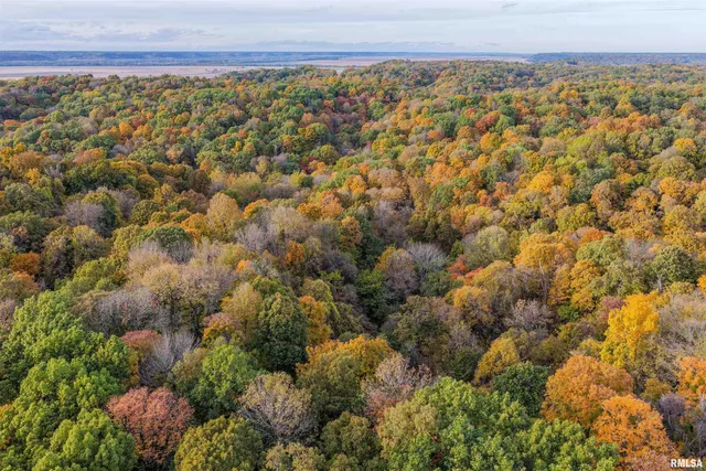 $1,347,500 | 0 Eldred Road, Fieldon, IL 62031